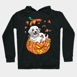 Poodle In The Pumpkin tshirt halloween costume funny gift t-shirt Hoodie